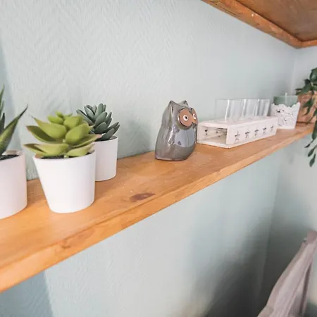 Joli Le Cocon Des Arenes, Roosevelt Arena ランス