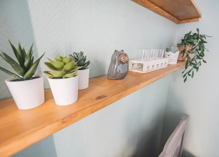 Joli Le Cocon Des Arenes, Roosevelt Arena ランス